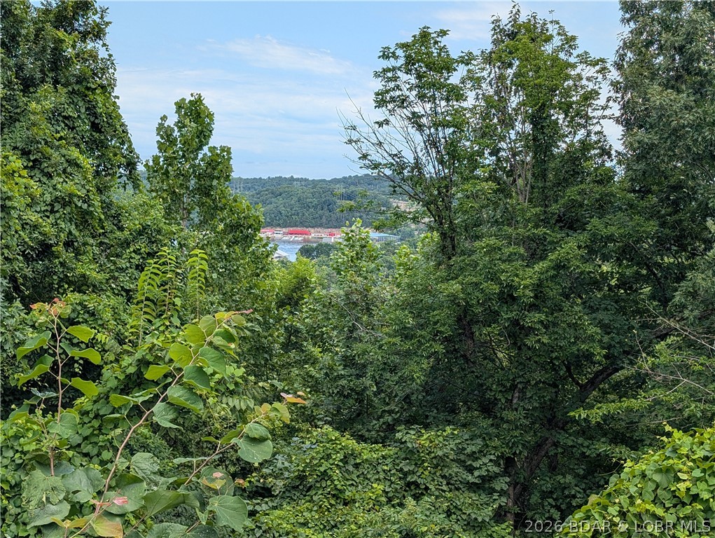 223 Fork Heights Drive Property Photo 30
