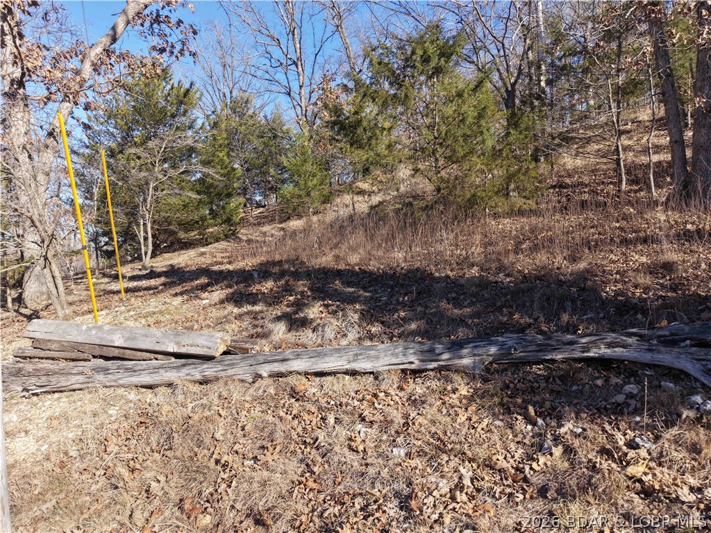 Anthony Cove Road Property Photo 10