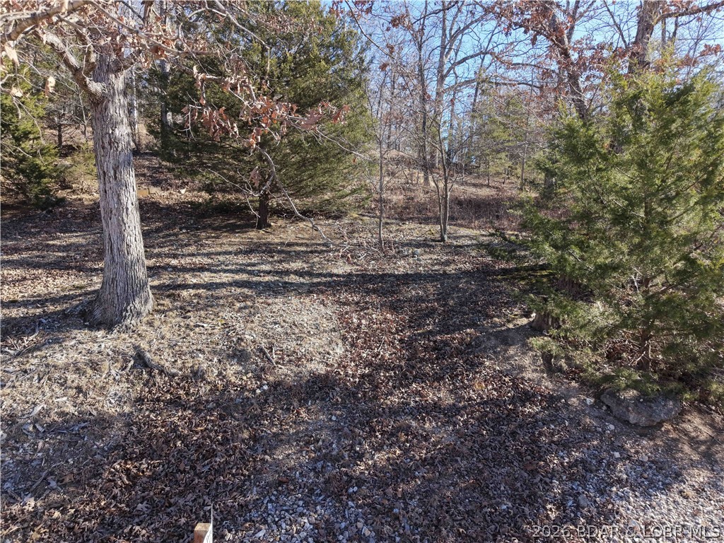 Anthony Cove Road Property Photo 12