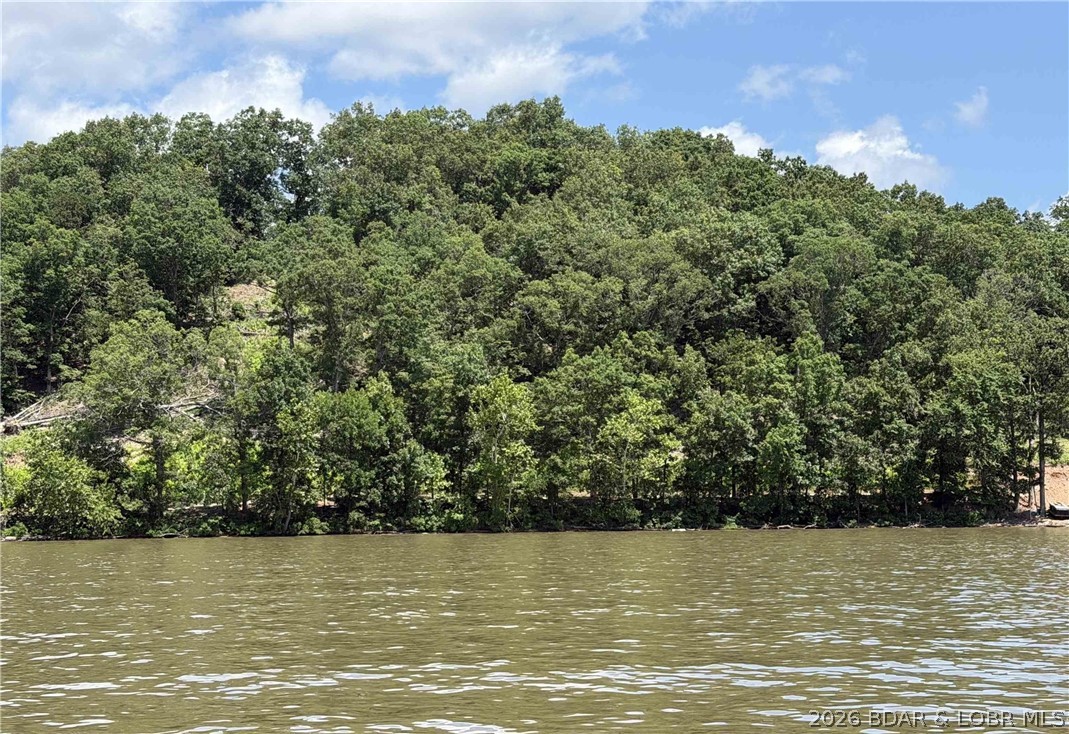 33297 Wendy's Lane Property Photo 1