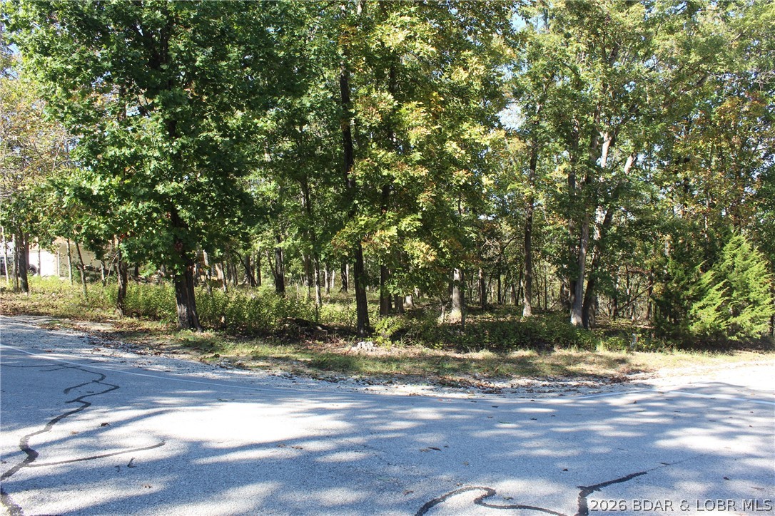 Lot 1241 Woodhaven Circle Property Photo 1