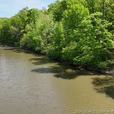 Tract A Lake Forest Estates Road Property Photo 1