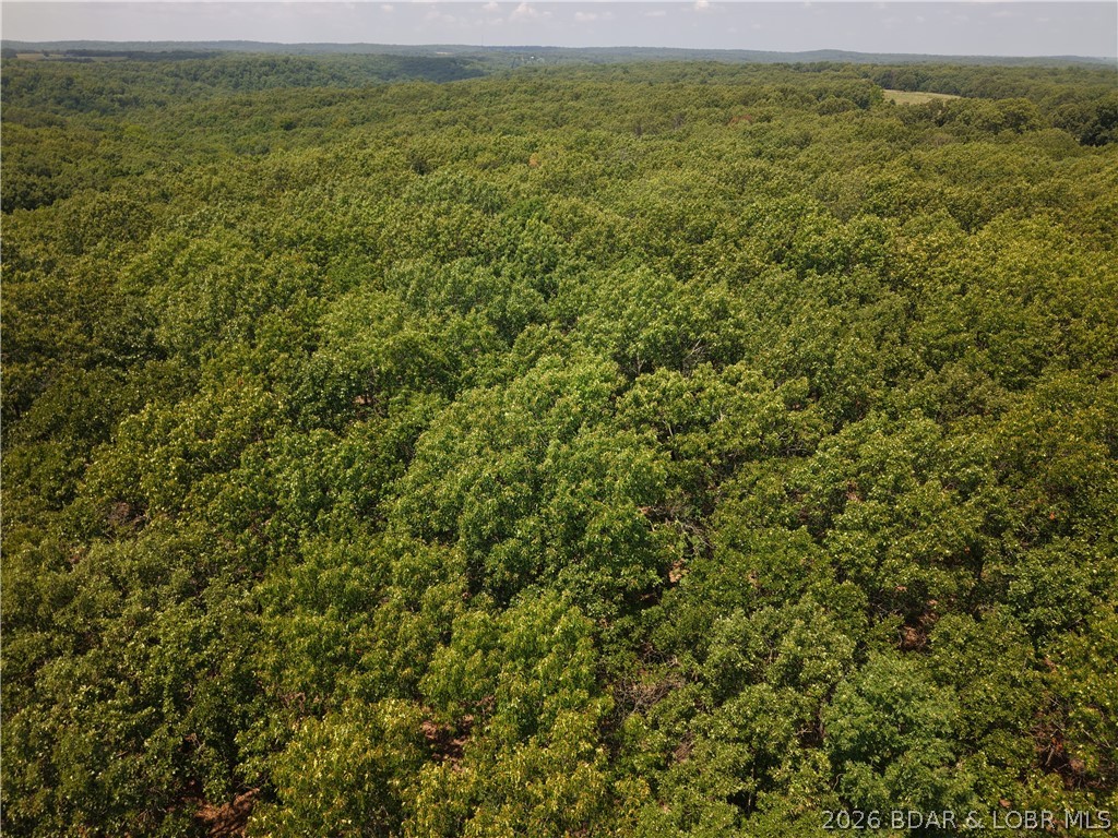 Old Canfield Ridge Road