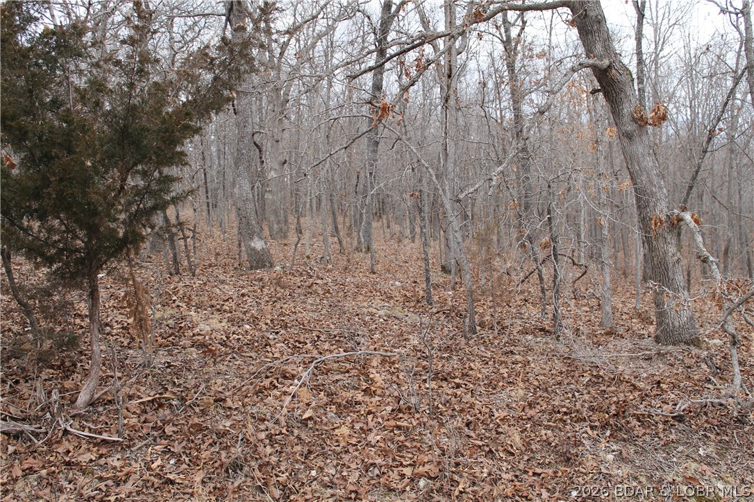 Bogardus Road 2677 Property Photo 1
