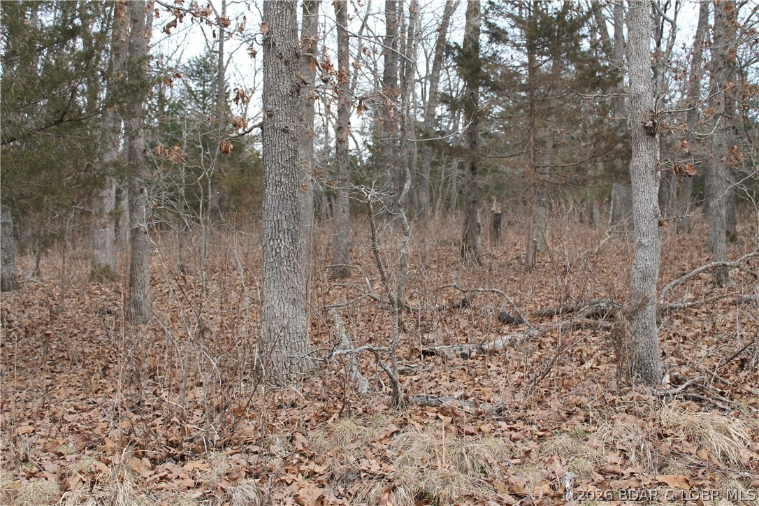 Winarsky Circle 4093 Property Photo 1