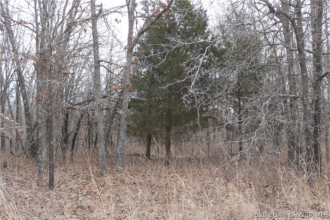 Ritchie Lane 2173 Property Photo 1