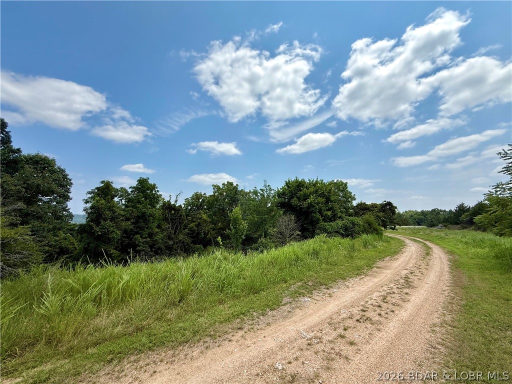 Lots 50 & 52 Eagles Landing Property Photo 2