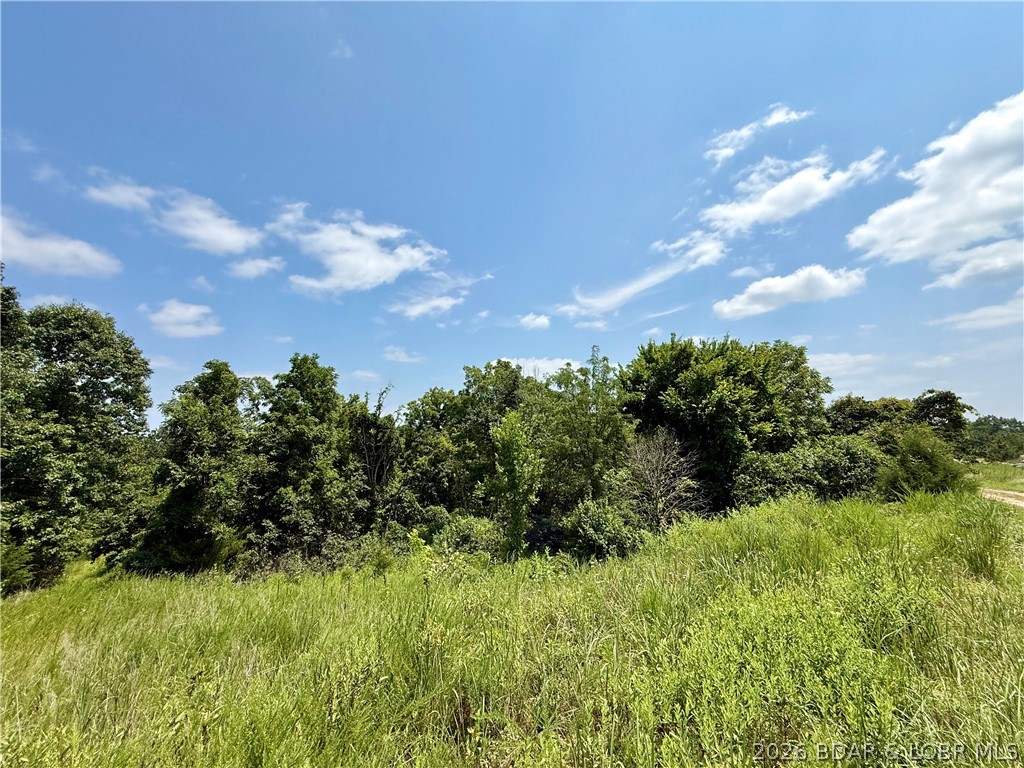 Lots 50 & 52 Eagles Landing Property Photo 3