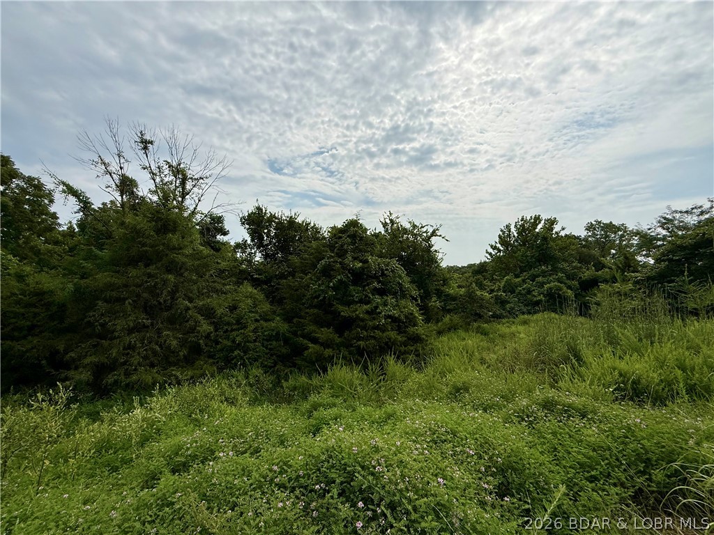 Lots 50 & 52 Eagles Landing Property Photo 4