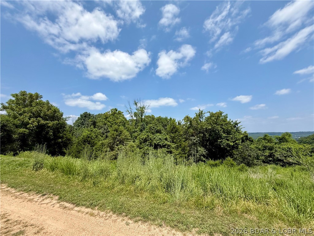Lots 50 & 52 Eagles Landing Property Photo 6