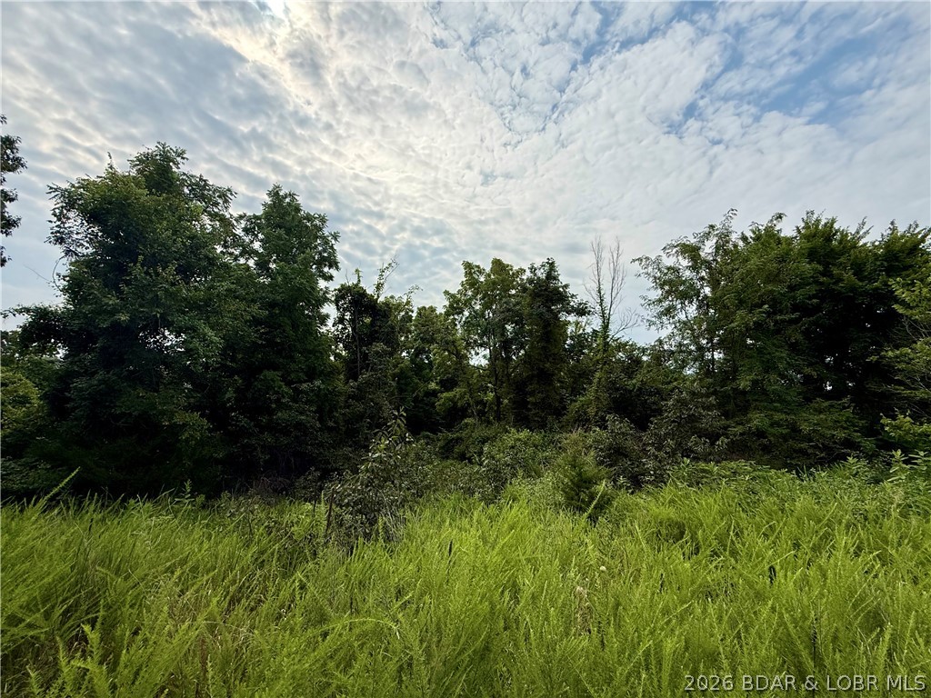 Lots 50 & 52 Eagles Landing Property Photo 8