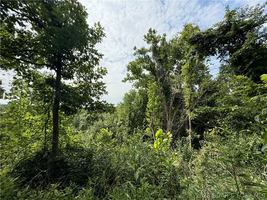 Lots 50 & 52 Eagles Landing Property Photo 11