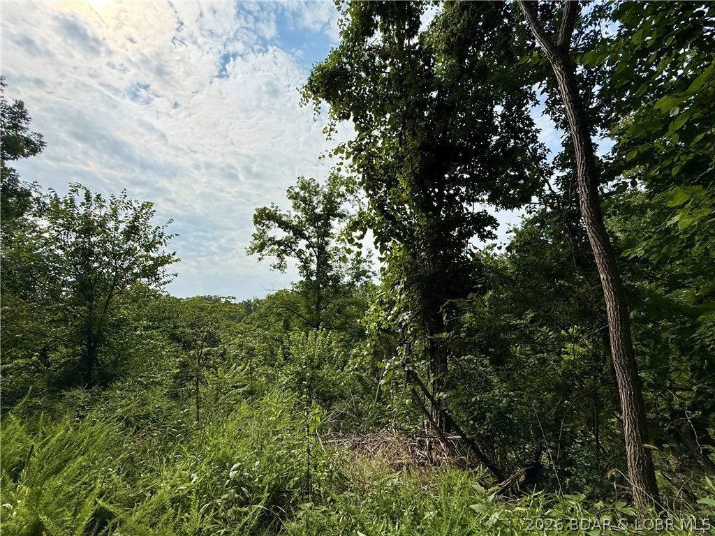 Lots 50 & 52 Eagles Landing Property Photo 13