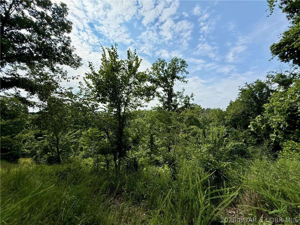 Lots 50 & 52 Eagles Landing Property Photo 14