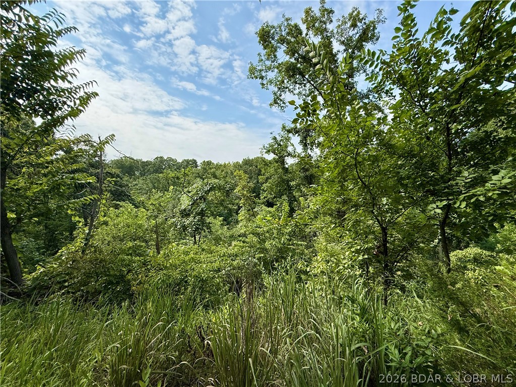 Lots 50 & 52 Eagles Landing Property Photo 15