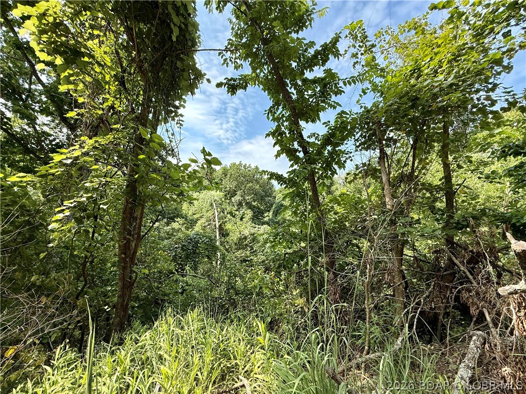 Lots 50 & 52 Eagles Landing Property Photo 16