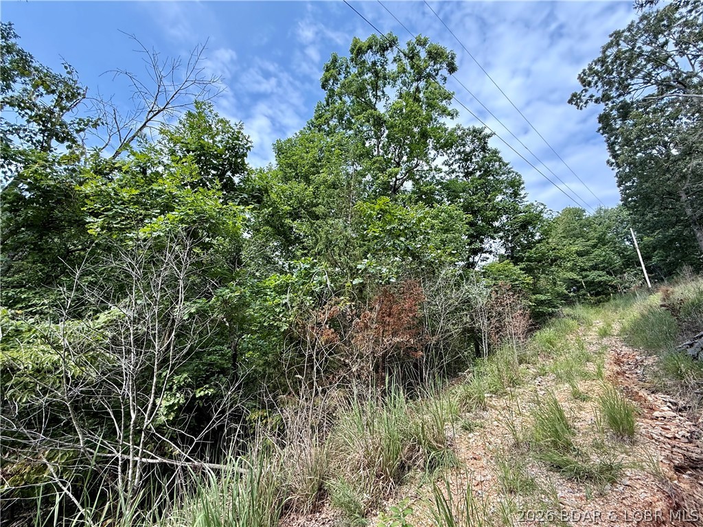 Lots 50 & 52 Eagles Landing Property Photo 17