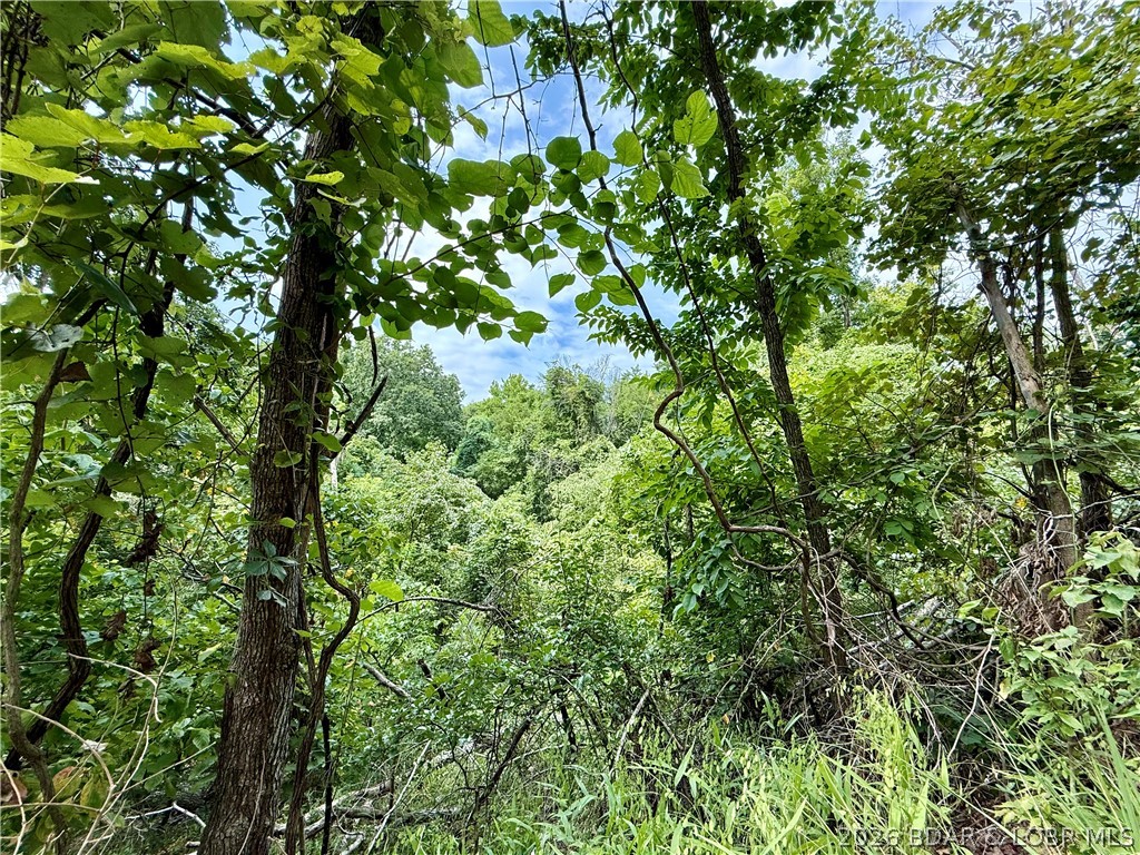 Lots 50 & 52 Eagles Landing Property Photo 18