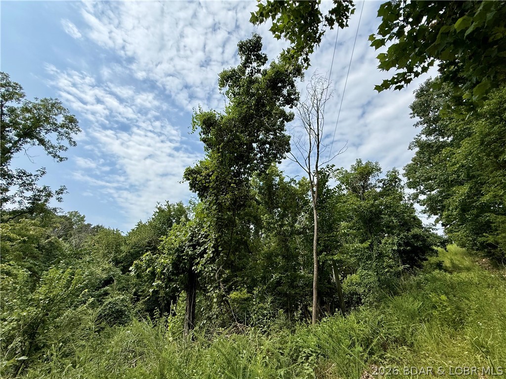 Lots 50 & 52 Eagles Landing Property Photo 19
