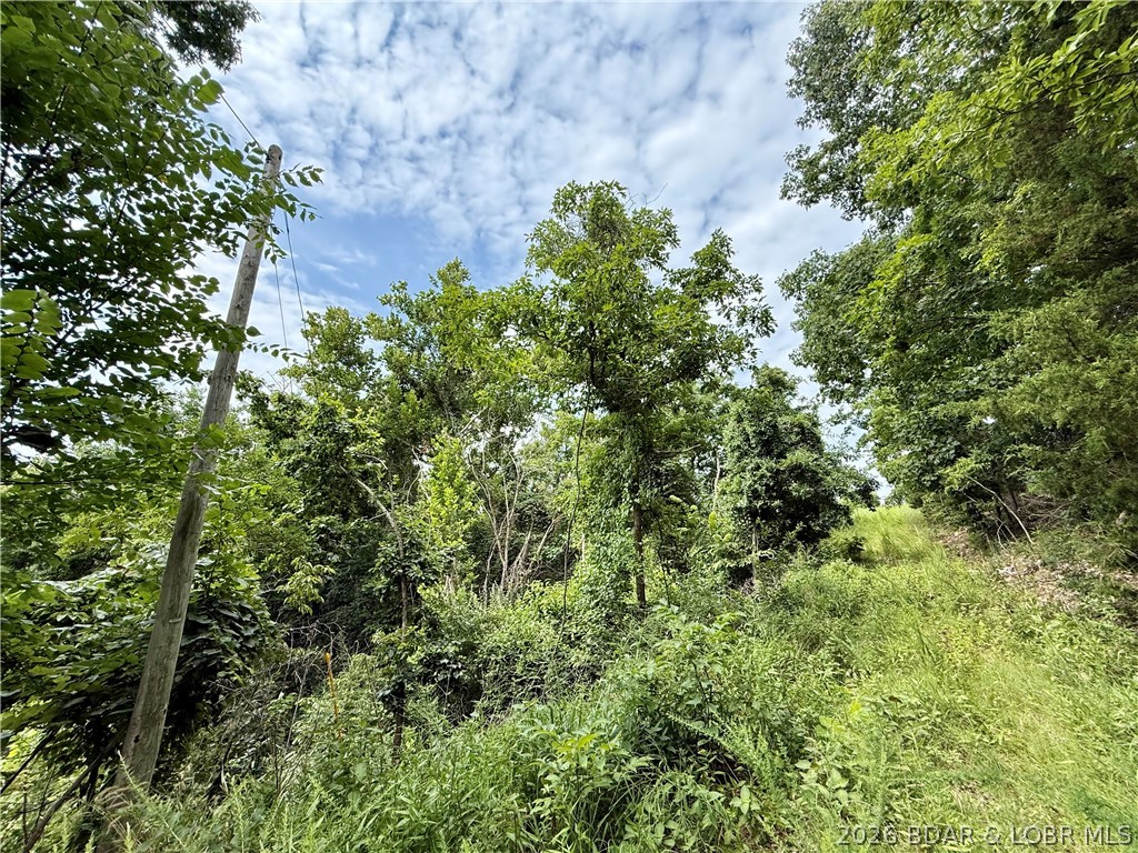 Lots 50 & 52 Eagles Landing Property Photo 20