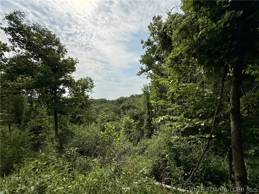 Lots 50 & 52 Eagles Landing Property Photo 21