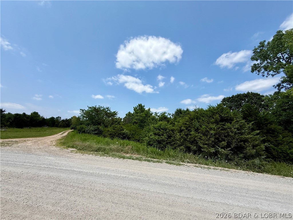 Lots 50 & 52 Eagles Landing Property Photo 26