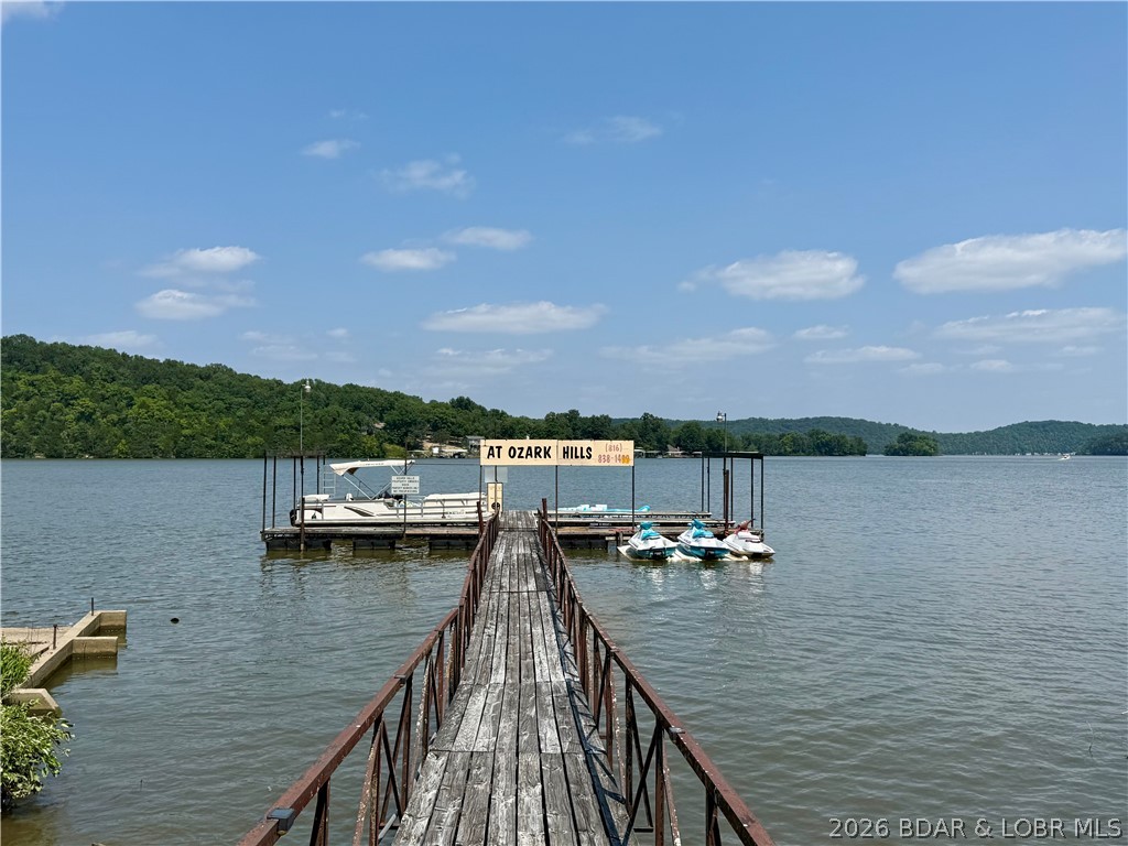 Lots 50 & 52 Eagles Landing Property Photo 28