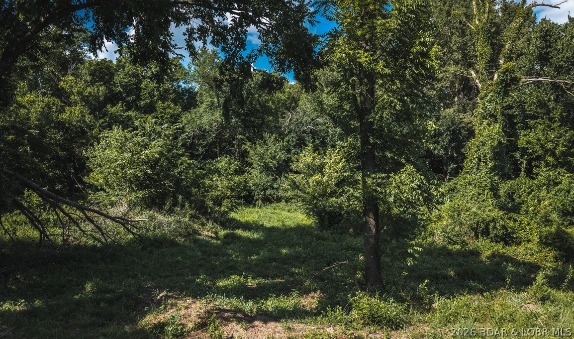 407 Highway Y Property Photo 40