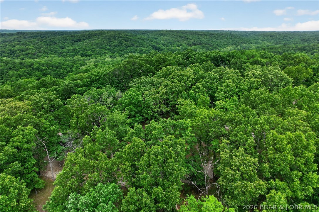 16376 Twisted Tree Road Property Photo 1