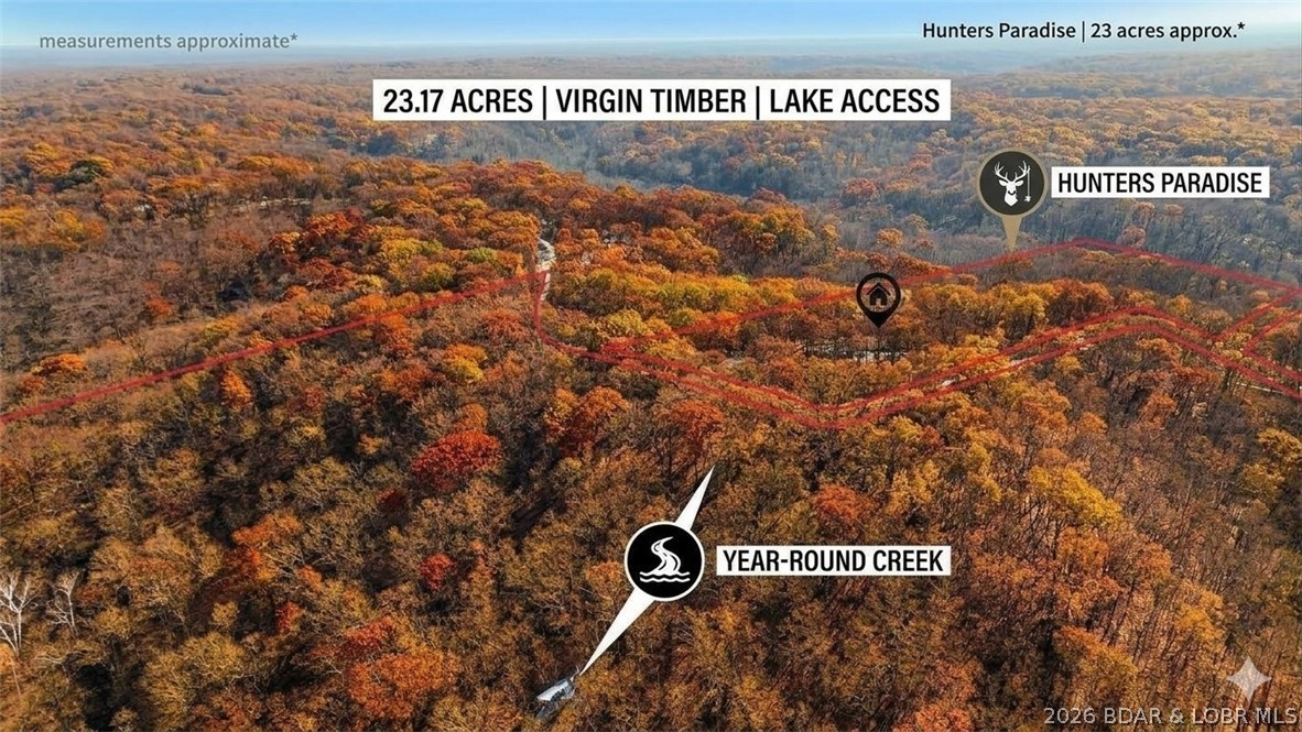 16376 Twisted Tree Road Property Photo 1