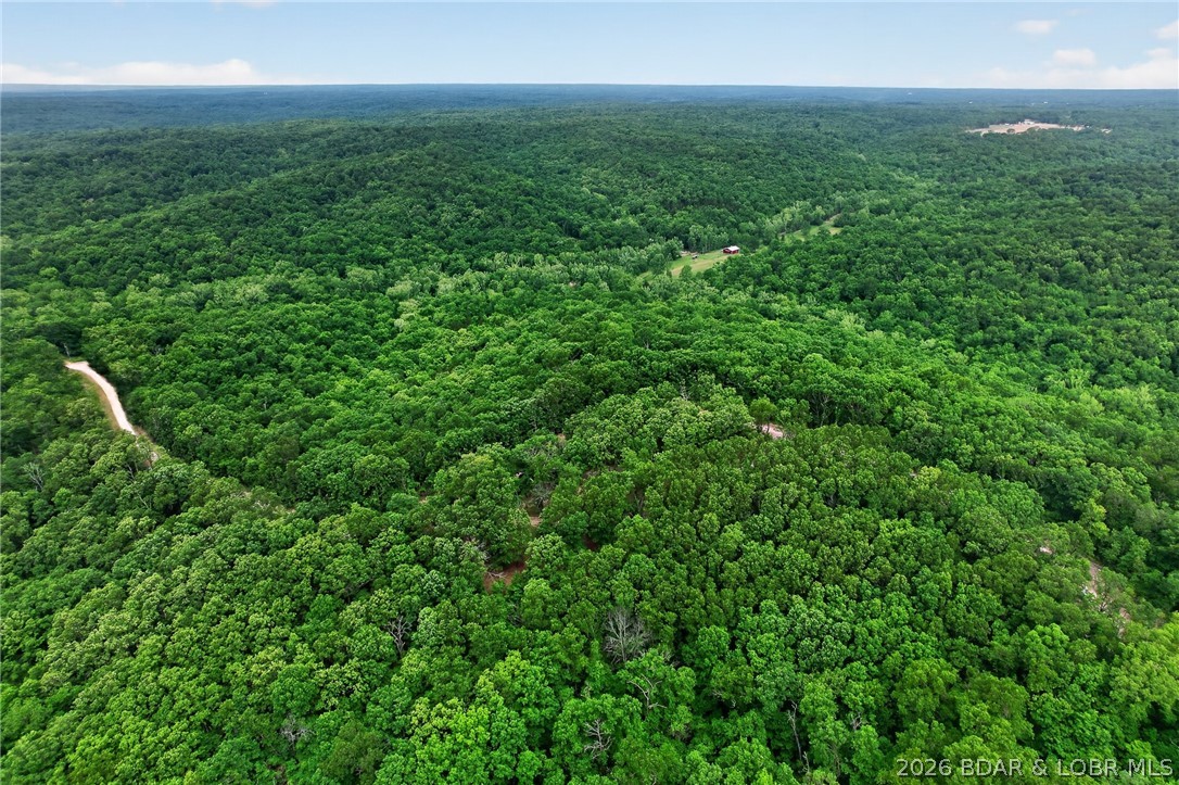 16376 Twisted Tree Road Property Photo 3