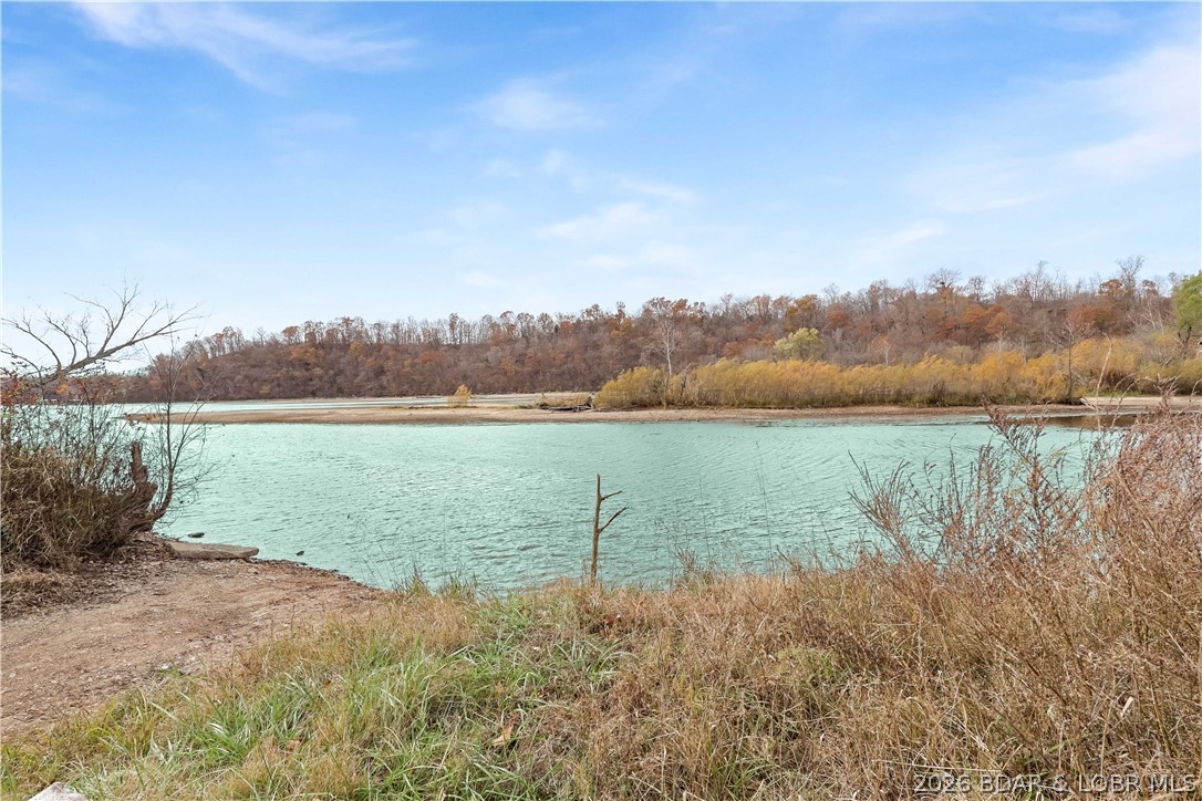 16376 Twisted Tree Road Property Photo 4