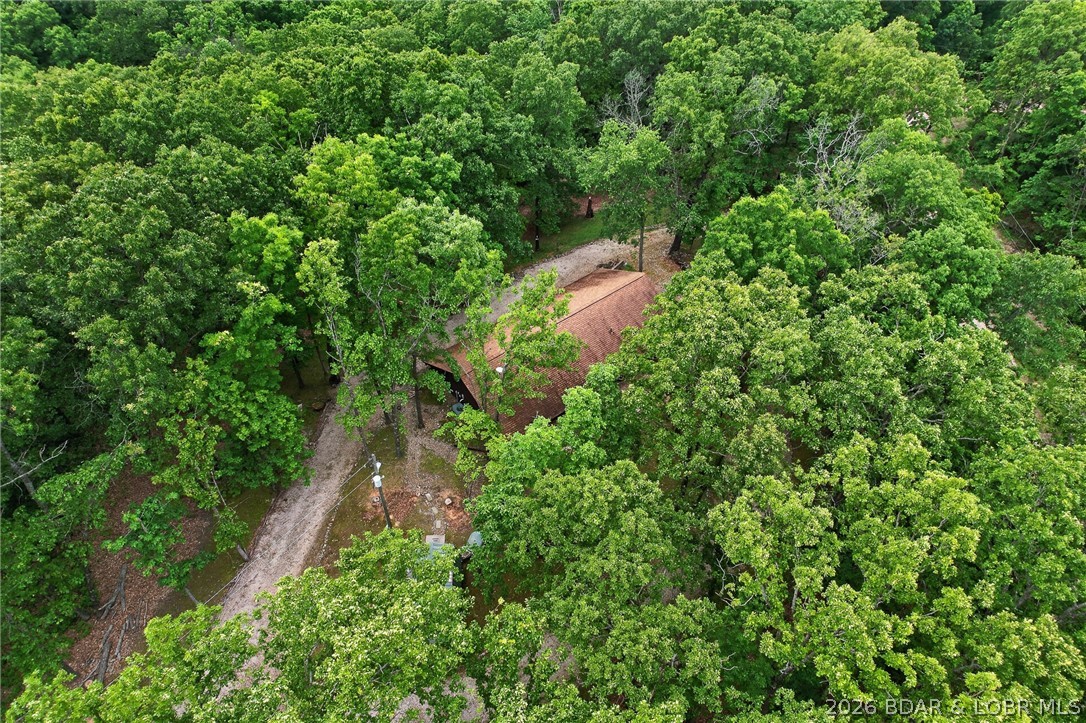 16376 Twisted Tree Road Property Photo 6