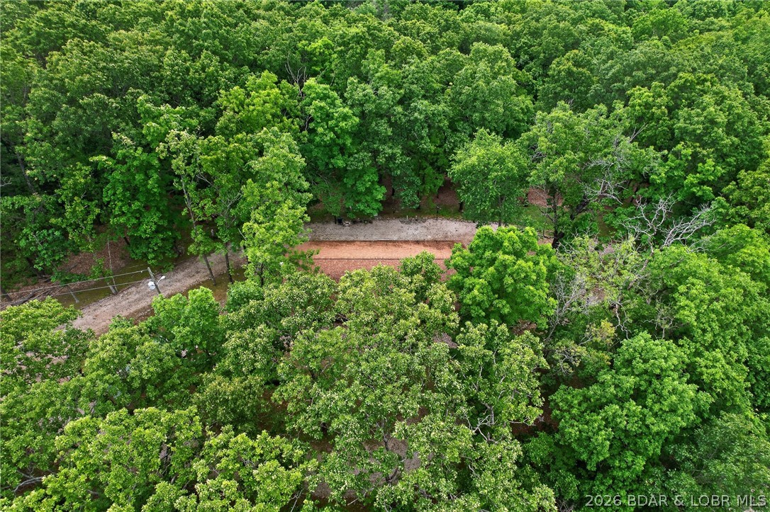 16376 Twisted Tree Road Property Photo 7