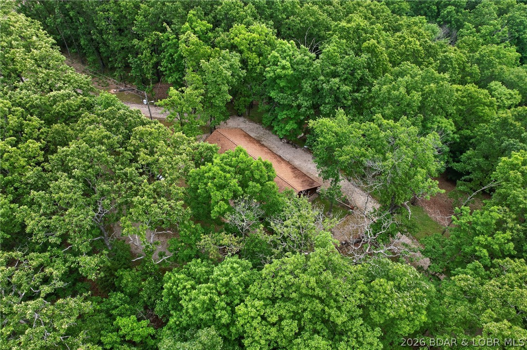 16376 Twisted Tree Road Property Photo 38