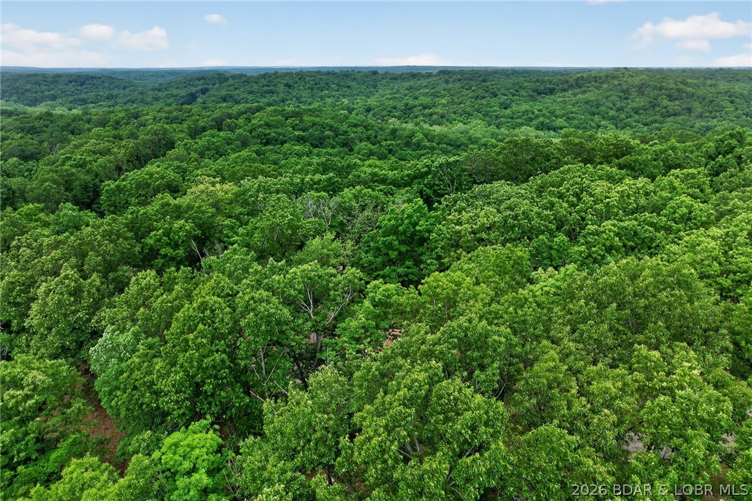 16376 Twisted Tree Road Property Photo 39