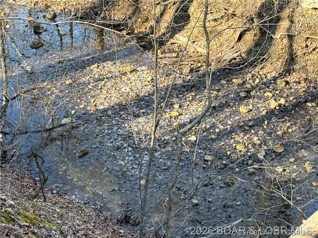 16376 Twisted Tree Road Property Photo 41