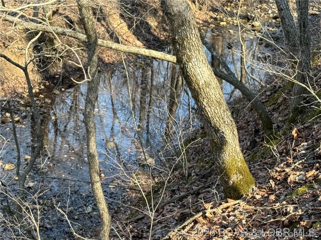 16376 Twisted Tree Road Property Photo 42