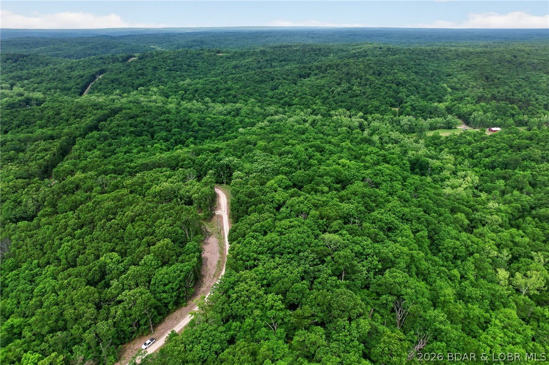 16376 Twisted Tree Road Property Photo 44