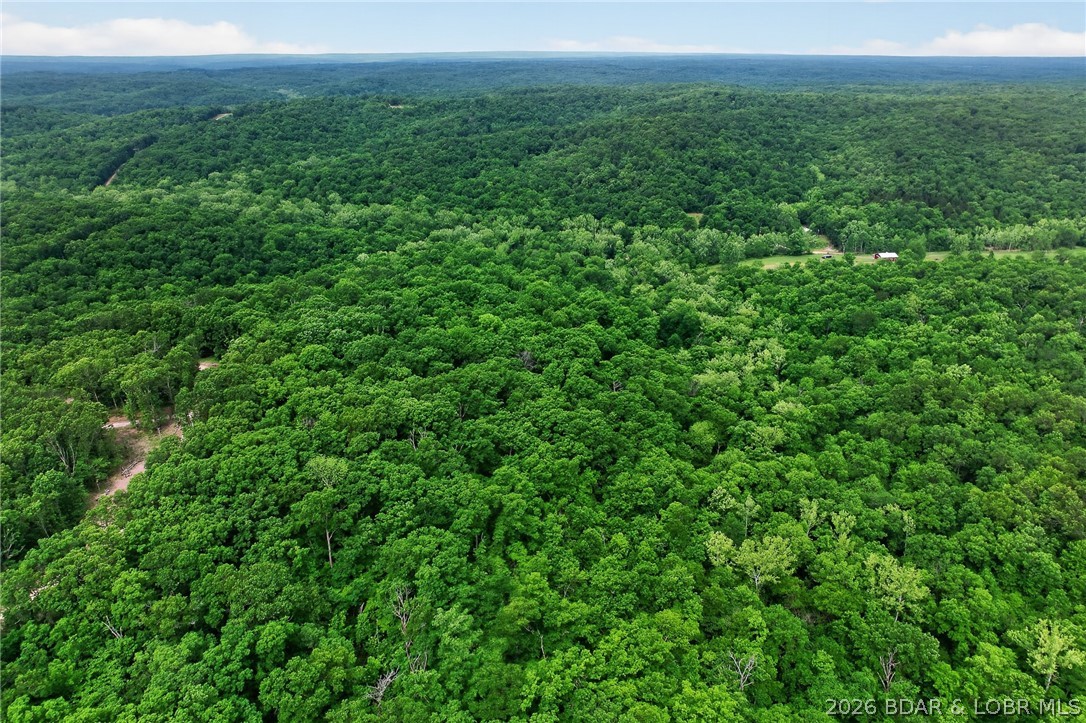 16376 Twisted Tree Road Property Photo 45