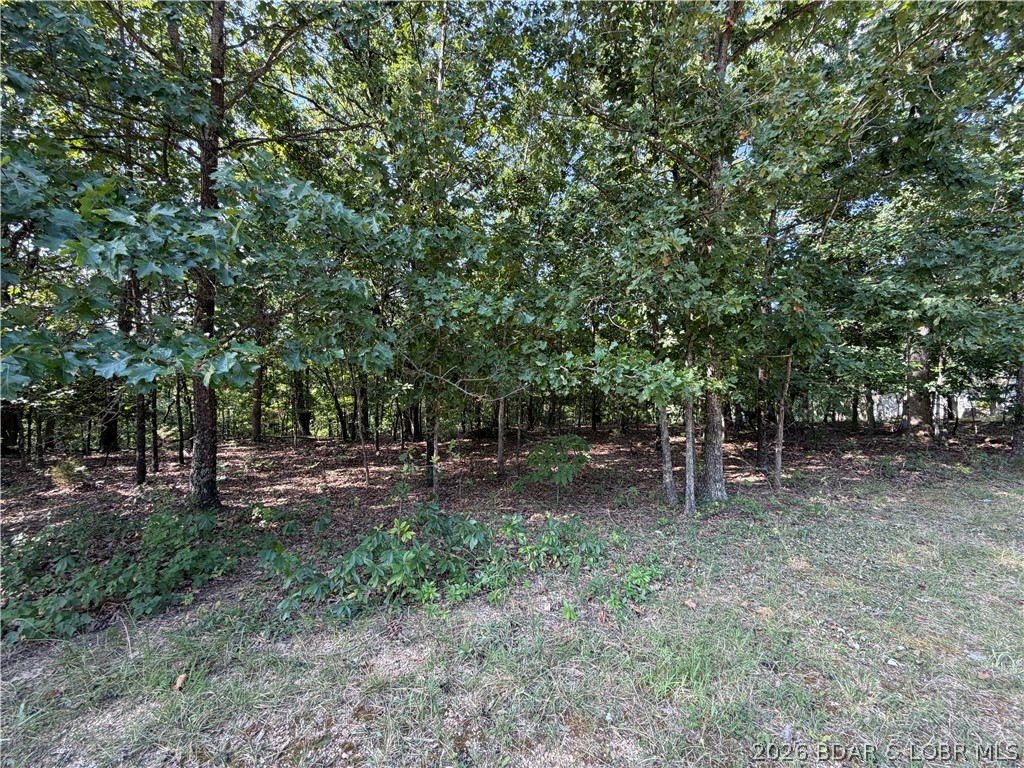 Lot 1064 Bittersweet Road Property Photo 1