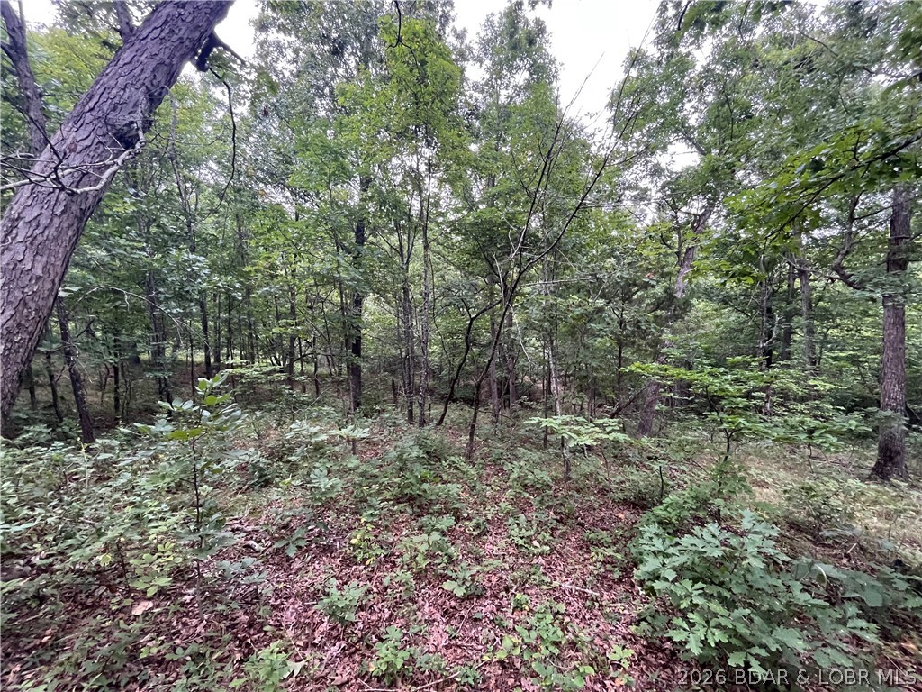 Patridge Drive Property Photo 1
