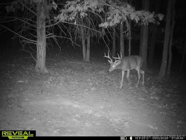 000 Brainerd Property Photo 1