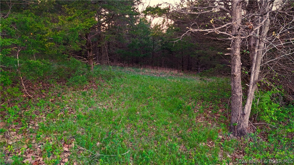 000 Brainerd Property Photo 24