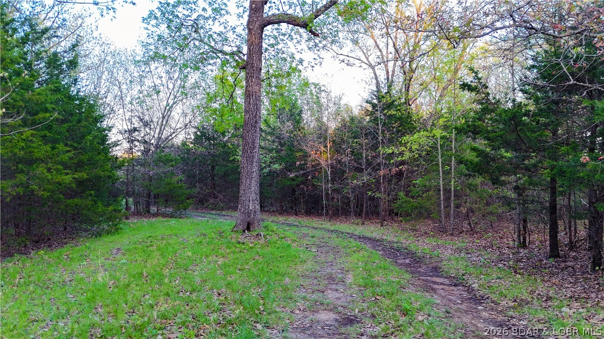 000 Brainerd Property Photo 34