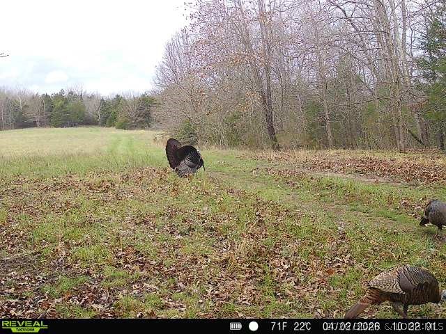 000 Brainerd Property Photo 35