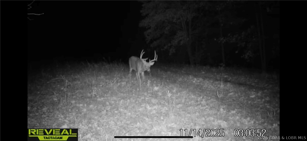 000 Brainerd Property Photo 38