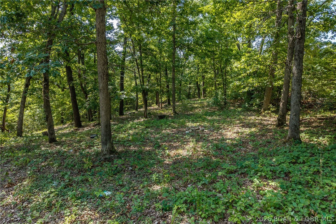 14560 Anchorage Road Property Photo 11