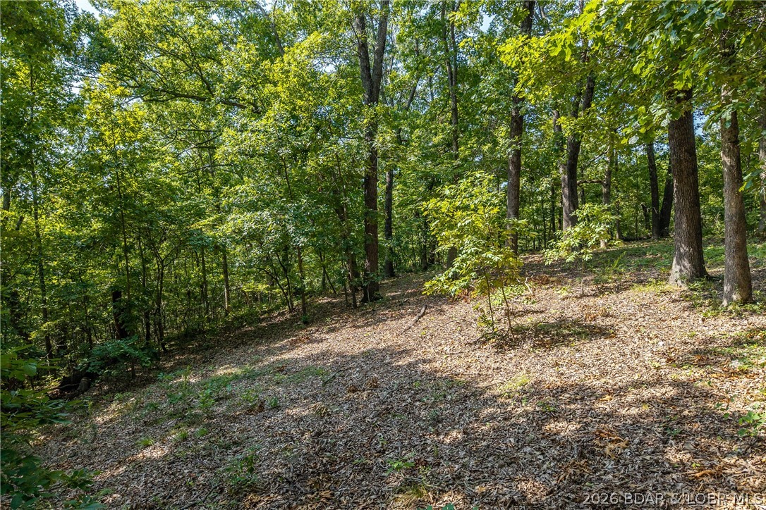14560 Anchorage Road Property Photo 19