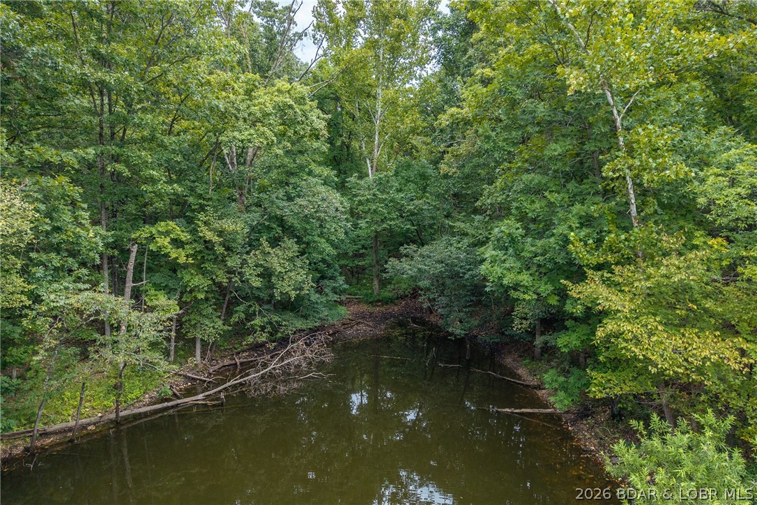 Tbd Brown Bend Property Photo 6